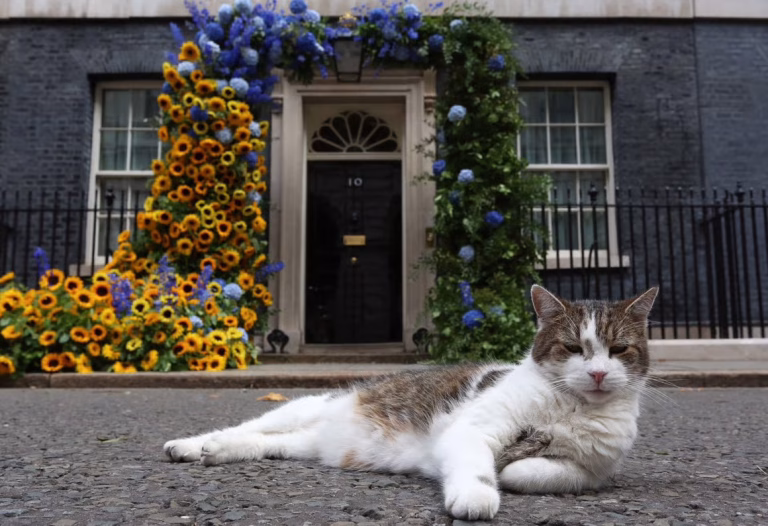 Motanul Larry sărbătorește 15 ani de activitate la Downing Street