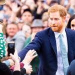 familii indoliate, Instagram YouTube, Prince Harry, proces California, sănătate mintală