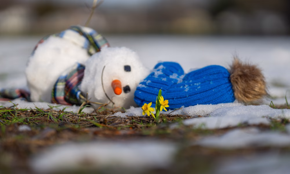 Administrația Națională de Meteorologie, regimul pluviometric excedentar, sfârșit de iarnă, temperaturi peste normal, vremea schimbă registrul