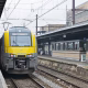 DOVO dezamorsare, Gara de sud Bruxelles, pachete suspecte, peron 20, politistii Bruxelles