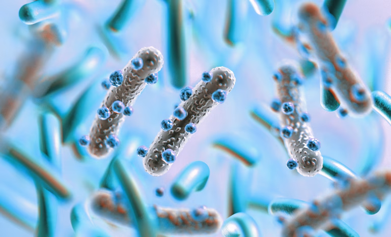 Bacterie reprogramată pentru a livra medicamentul anticancer direct în tumori