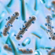 bacterie Escherichia coli, medicament anticancer, Romidepsin bacterie, Tianyu Jiang, tumorile