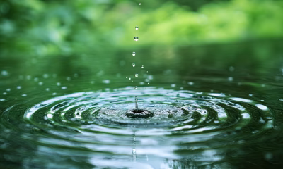 activitati educative, ateliere tematice, grigore antipa, muzeul antipa, ziua mondiala apei