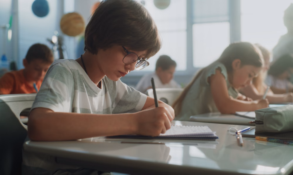 examenelor naționale, Mihai Dimian, Ministerul Educației, profesori evaluatori, simularea Evaluării Naționale