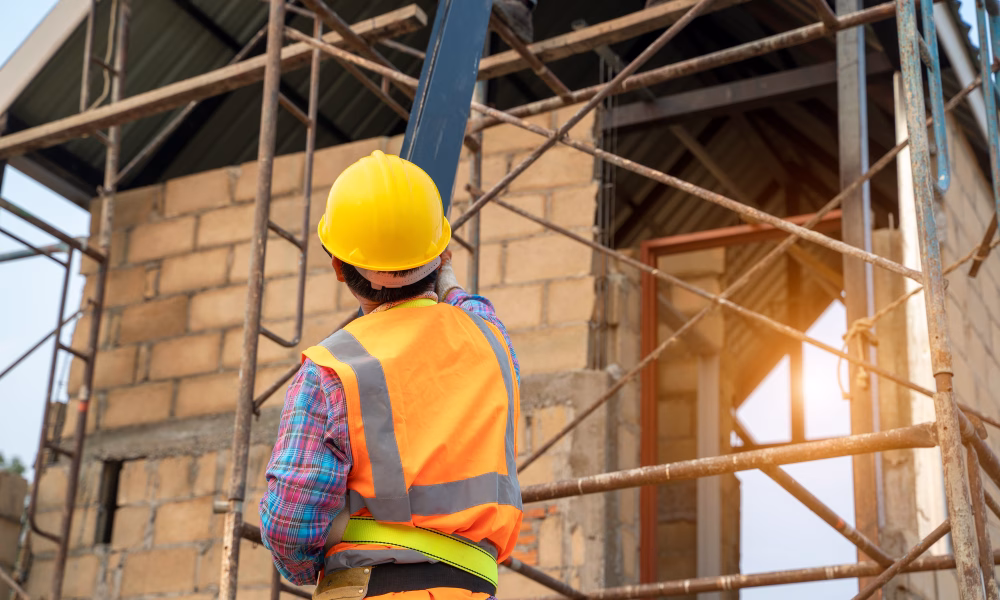 corectii Parlament, forta de munca UE, ordonanta angajatorii straini, recrutare forta de munca, reprezentantii Patronatului