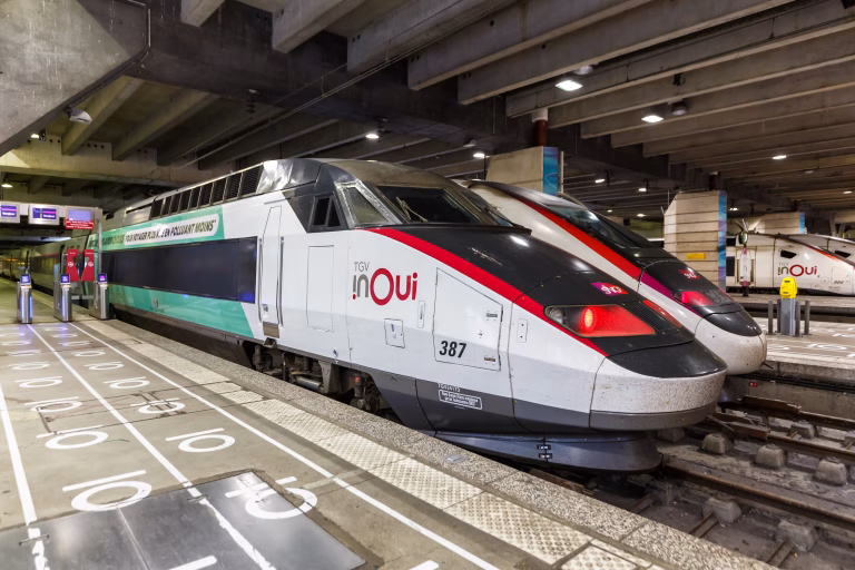 Accident grav în Pas-de-Calais: mecanicul unui TGV a murit, 27 de pasageri răniți