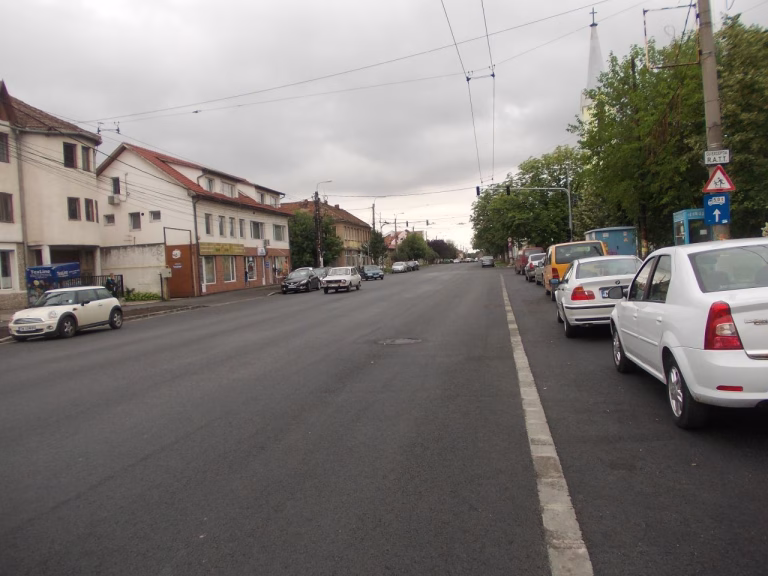 Urs surprins pe strada Cloșca din Brașov, autoritățile emit mesaj Ro-Alert