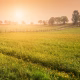 luna iunie, precipitatii Romania, prognoza ANM, regiuni sud-vest, temperaturi peste normal