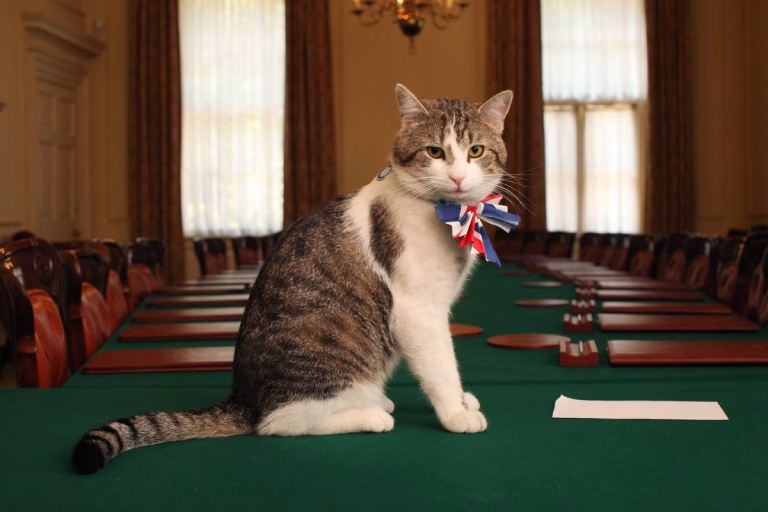 Larry, motanul de la Downing Street, întâmpină al șaptelea premier britanic
