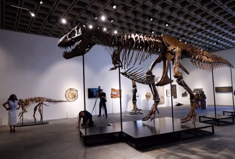Un schelet de T. rex s-a vândut cu 50,1 milioane de dolari, stabilind un nou record mondial