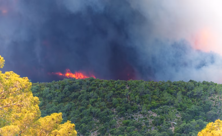 Pompierii români intervin în Franța pentru a combate incendiile de pădure