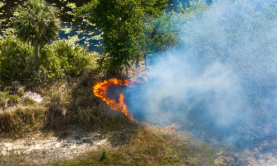 Franța și Spania, incendii de vegetatie, măsuri urgente, schimbări climatice, Tammouz Eñaut Helou
