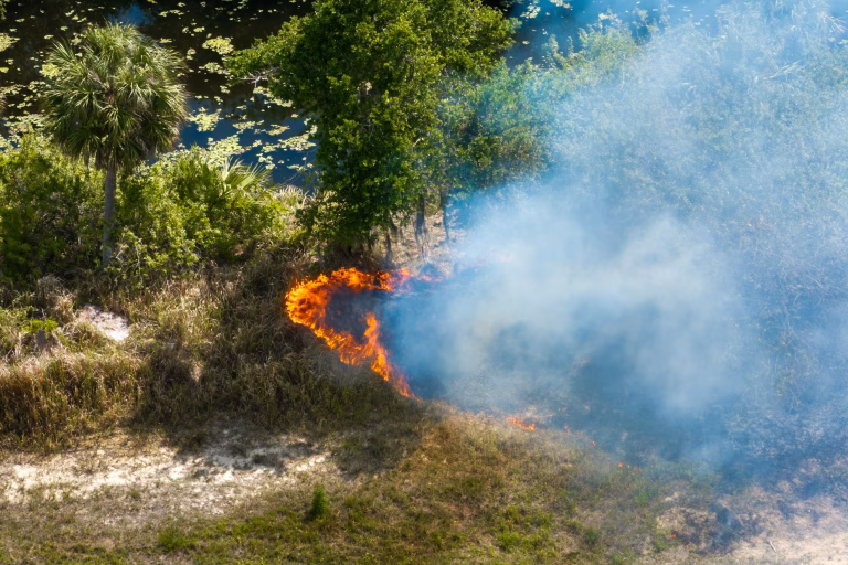 Incendiile de vegetație din Europa: măsuri urgente pentru prevenirea dezastrului anual