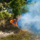 Franța și Spania, incendii de vegetatie, măsuri urgente, schimbări climatice, Tammouz Eñaut Helou