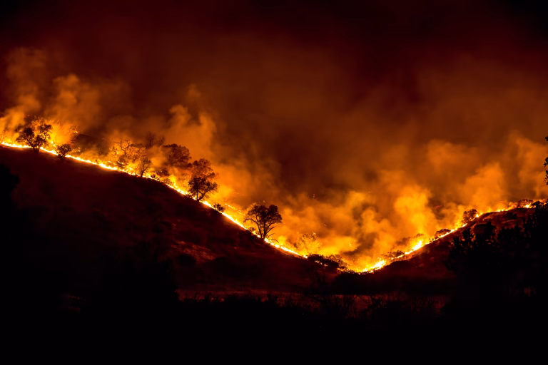 Incendii devastatoare în Grecia: sute de turiști evacuați pe mare din Halkidiki