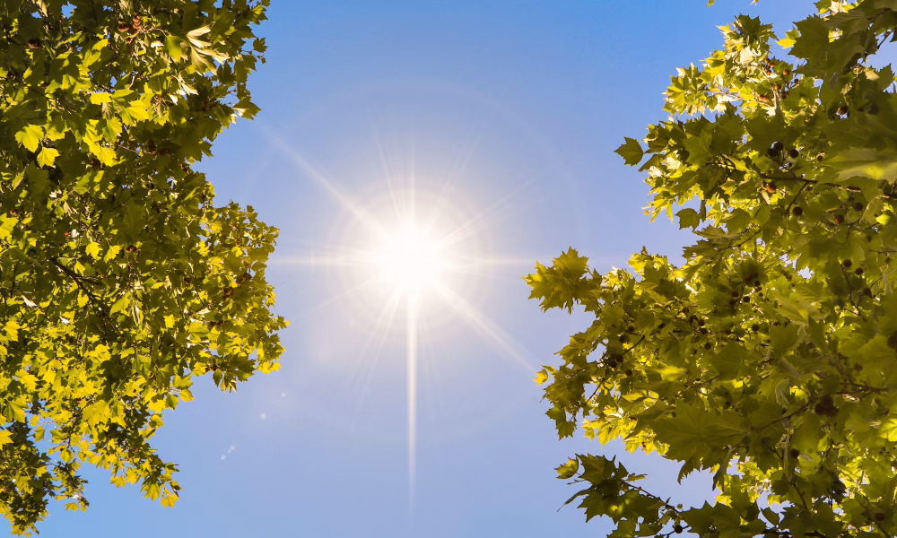 estimările ANM, precipitații în România, prognoza meteorologică, temperaturi peste normal, vremea în septembrie