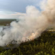 cimitir Ștefănești, incendiu Botoșani, ISU Botoșani, lumânare aprinsă, vegetatie arsă
