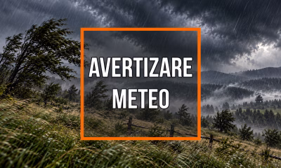 Ceață densă în mai multe localități din județul Bacău — vizibilitate redusă