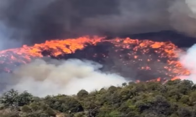Antonio Sanz, Benahavis, Costa del Sol, incendiu de vegetatie, Marbella