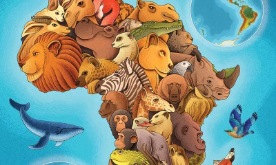 animale, atlas, copii, Corint, educatie, literatură pentru copii