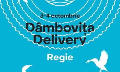 Dâmbovița Delivery: Activități pe apă și pe mal