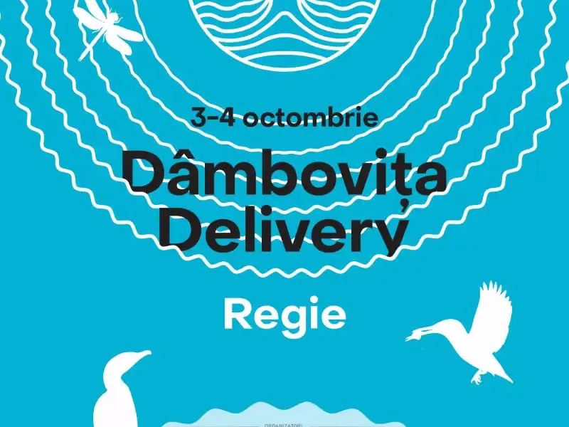 Dâmbovița Delivery: Activități pe apă și pe mal