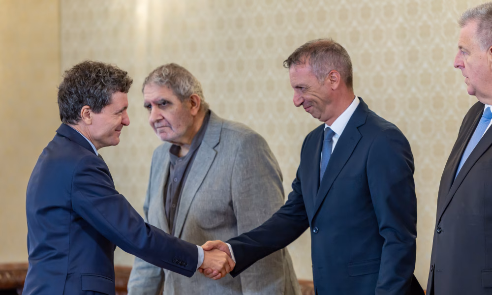 Pambuccian cere președintelui amânarea propunerii de premier