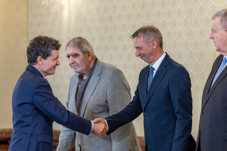 Pambuccian cere președintelui amânarea propunerii de premier