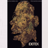 IDIOTEK