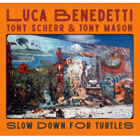 Slow Down For Turtles
