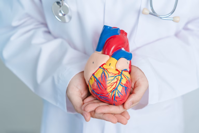 European Heart Journal, expunerea la lumină, intunericul vital, Lu Qi Universitatea Tulane, sănătatea inimii
