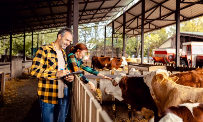 180 milioane euro, APIA, bovine, fermierii, Tánczos Barna