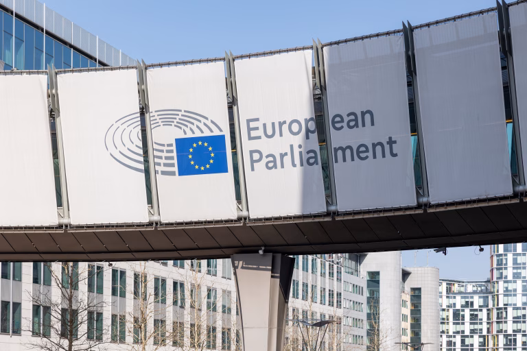 amenintari externe, interferente TikTok Romania, parlamentul european, Scutul european pentru democratie, Vasile Dincu