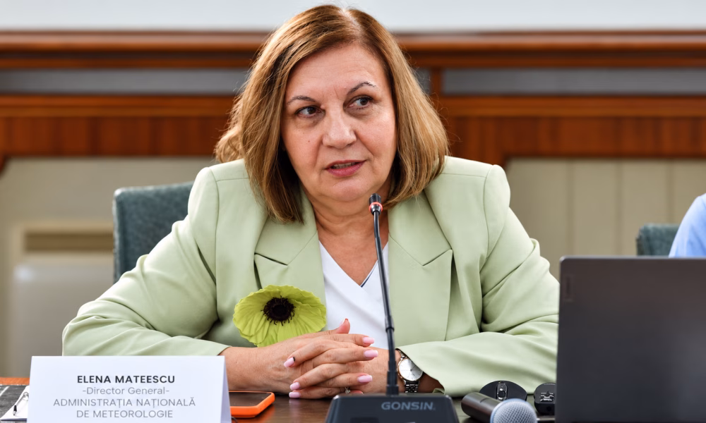 Consiliul de Administrație al ANM nu poate evalua pe Elena Mateescu