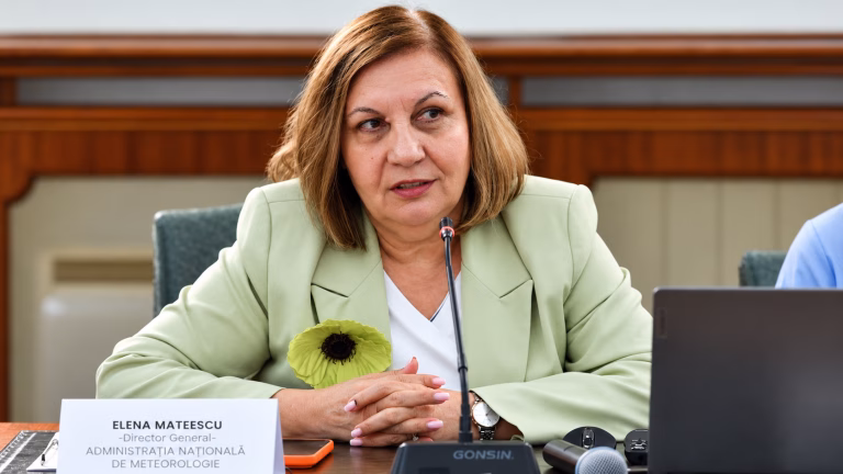 Consiliul de Administrație al ANM nu poate evalua pe Elena Mateescu