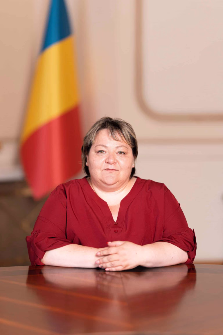 Proiect de lege pentru accelerarea pensiilor românilor din străinătate