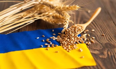 cereale UE, plante oleaginoase, Politica Agricola Comună, producător agricol