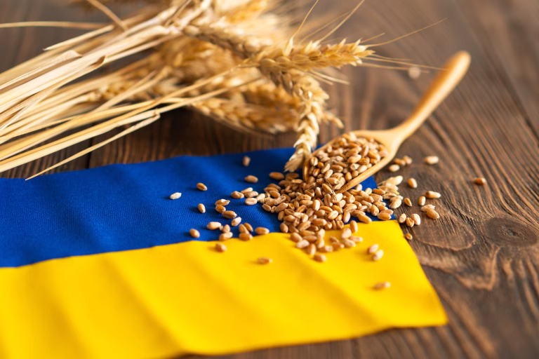 Ucraina ar putea deveni principalul producător agricol din UE